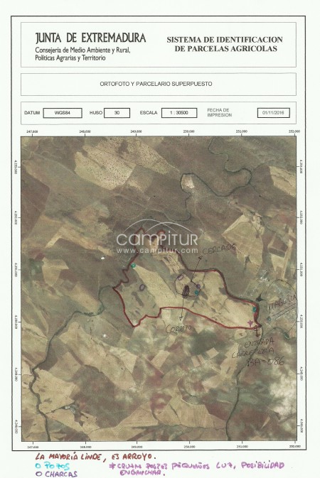 VENTA DE FINCA EN MAGUILLA