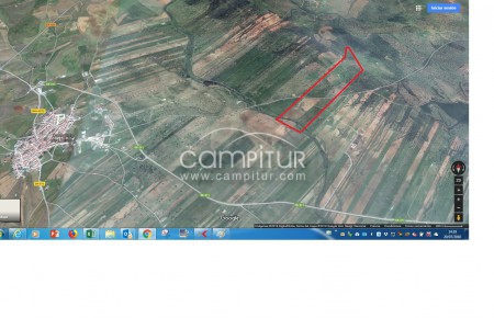 FINCA en Termino Municipal de CAMPILLO DE LLERENA
