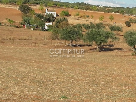 Terreno en Alanis de la Sierra 