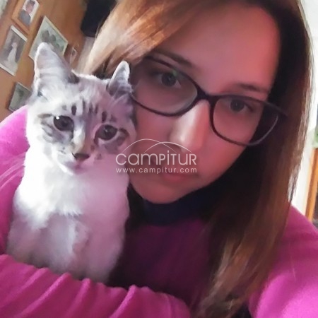Gatita perdida