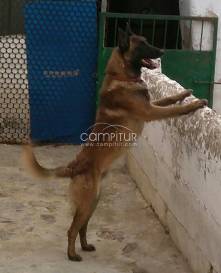 se vende