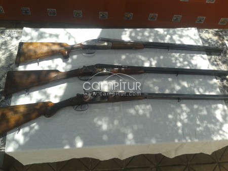 Venta de escopetas