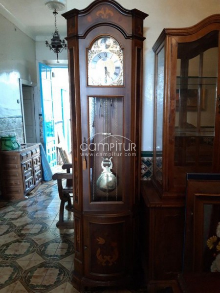 MAGNIFICO RELOJ SOBRE PIED DE CAOBA