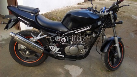 Moto