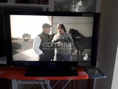 tv samsung 42 purgadas 