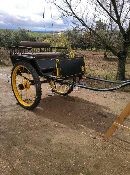 Foto 4 de Se vende cherret jerezano ideal