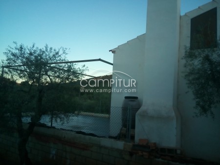 Foto 2 de parcela de olivar en guadalcanal