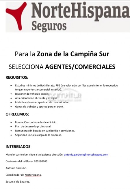 Agente comercial