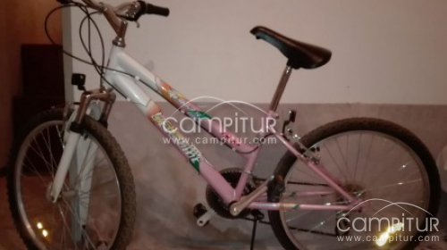Imagen del anuncio