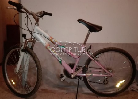 Bicicleta rosa de mujer