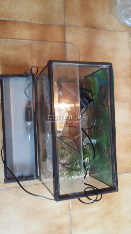 Foto 2 de ACUARIO