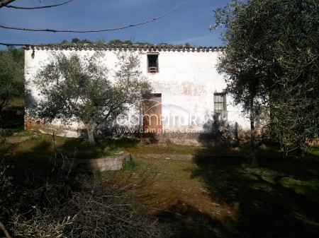Foto 2 de Finca olivar en Guadalcanal