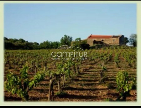 Foto 4 de Finca rustica