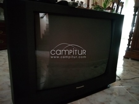 Televisor Panasonic 