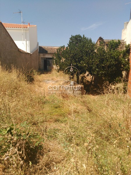 Foto 5 de Venta local 
