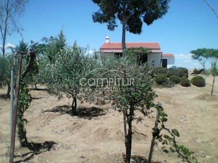 Venta de finca en Berlanga