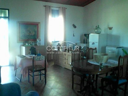 Foto 2 de Venta de finca en Berlanga