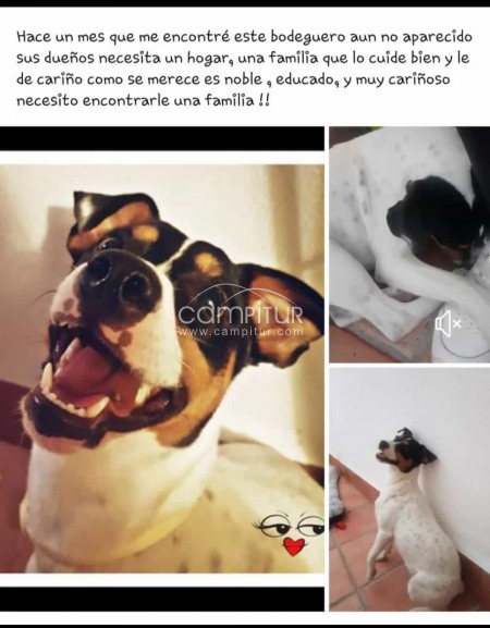 NECESITA UNA FAMILIA 