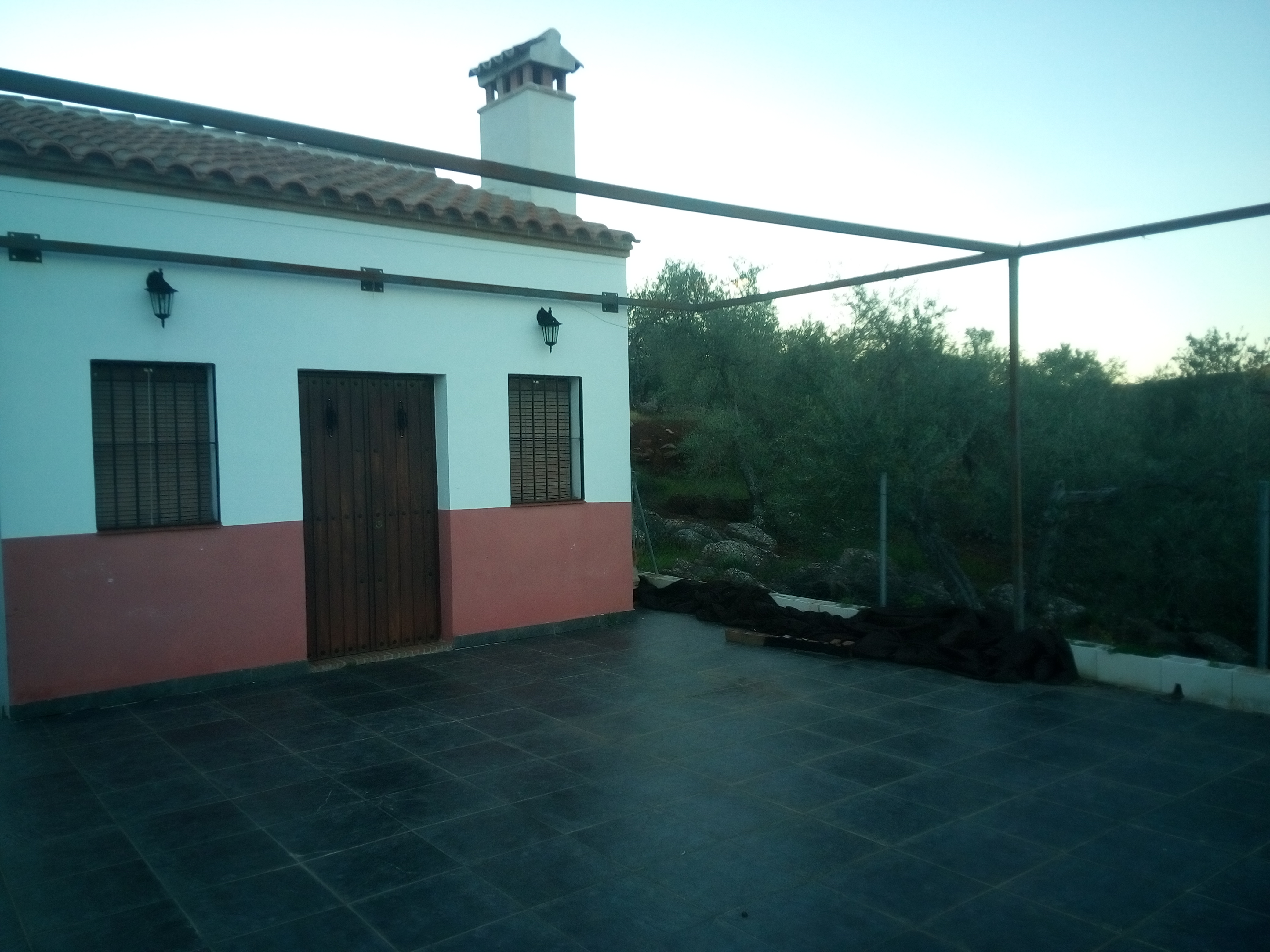 parcela de olivar en guadalcanal
