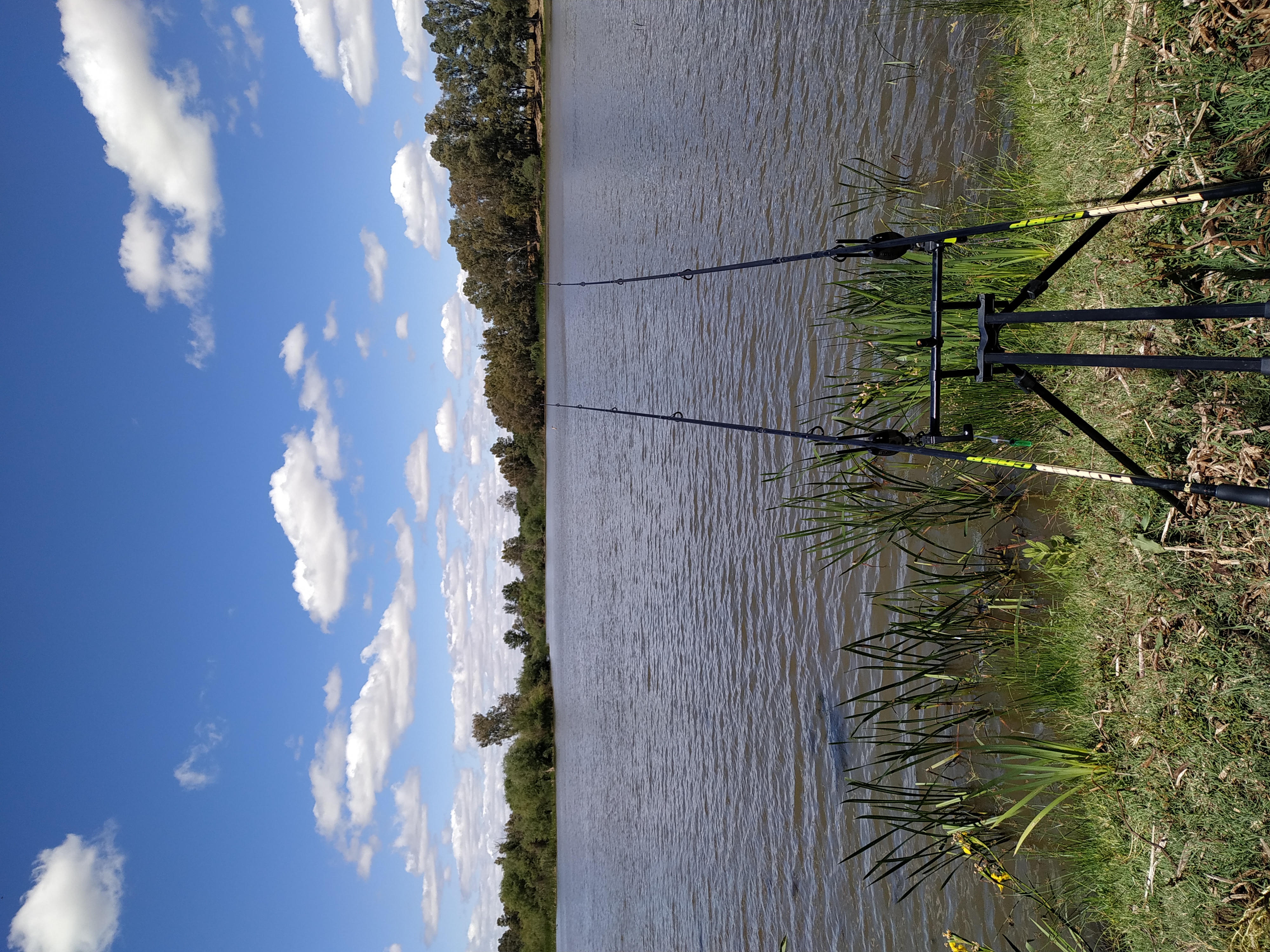 Foto 2 de Equipo de carpfishing