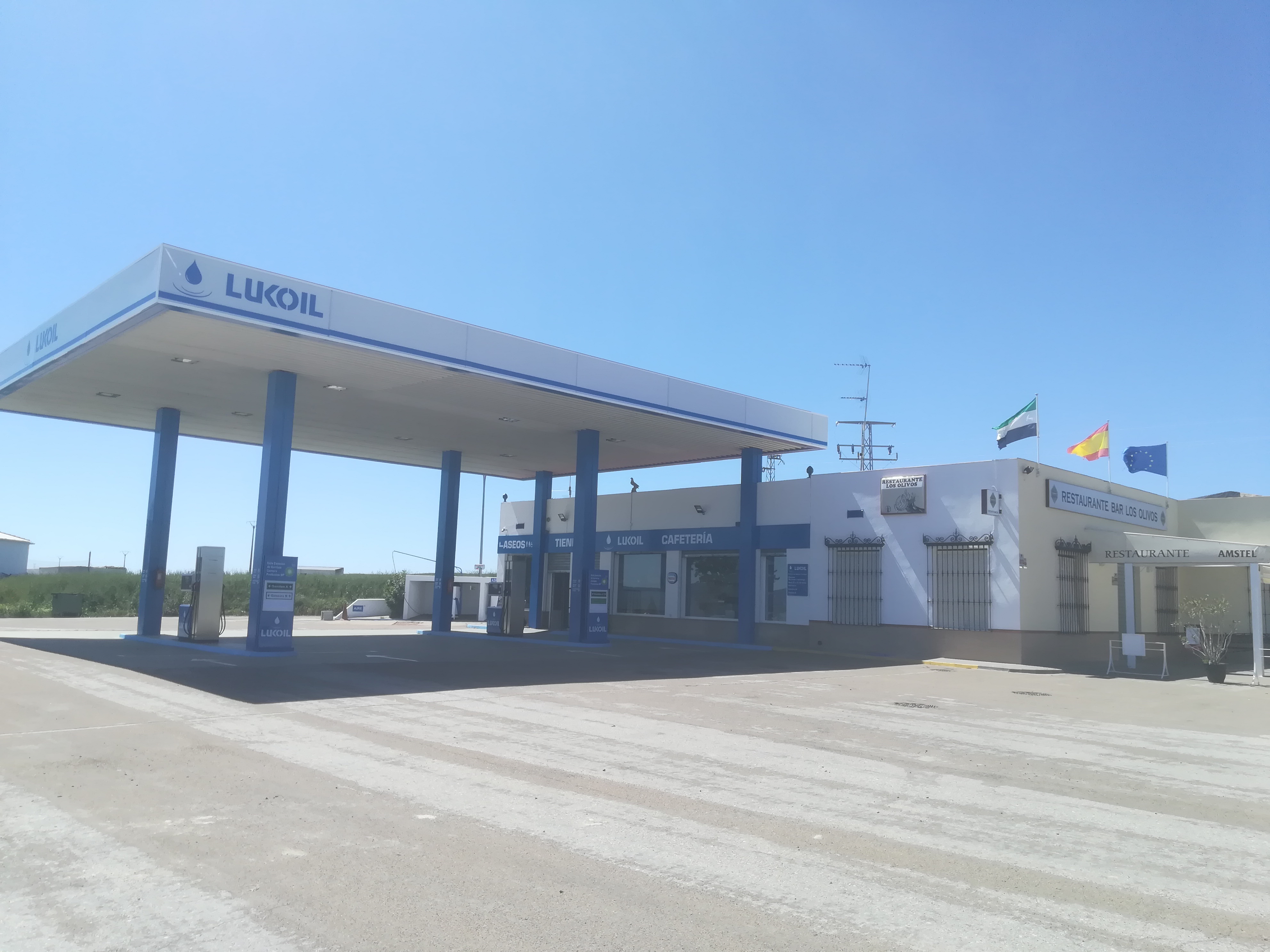 VENTA DE GASOLINERA, AHILLONES.