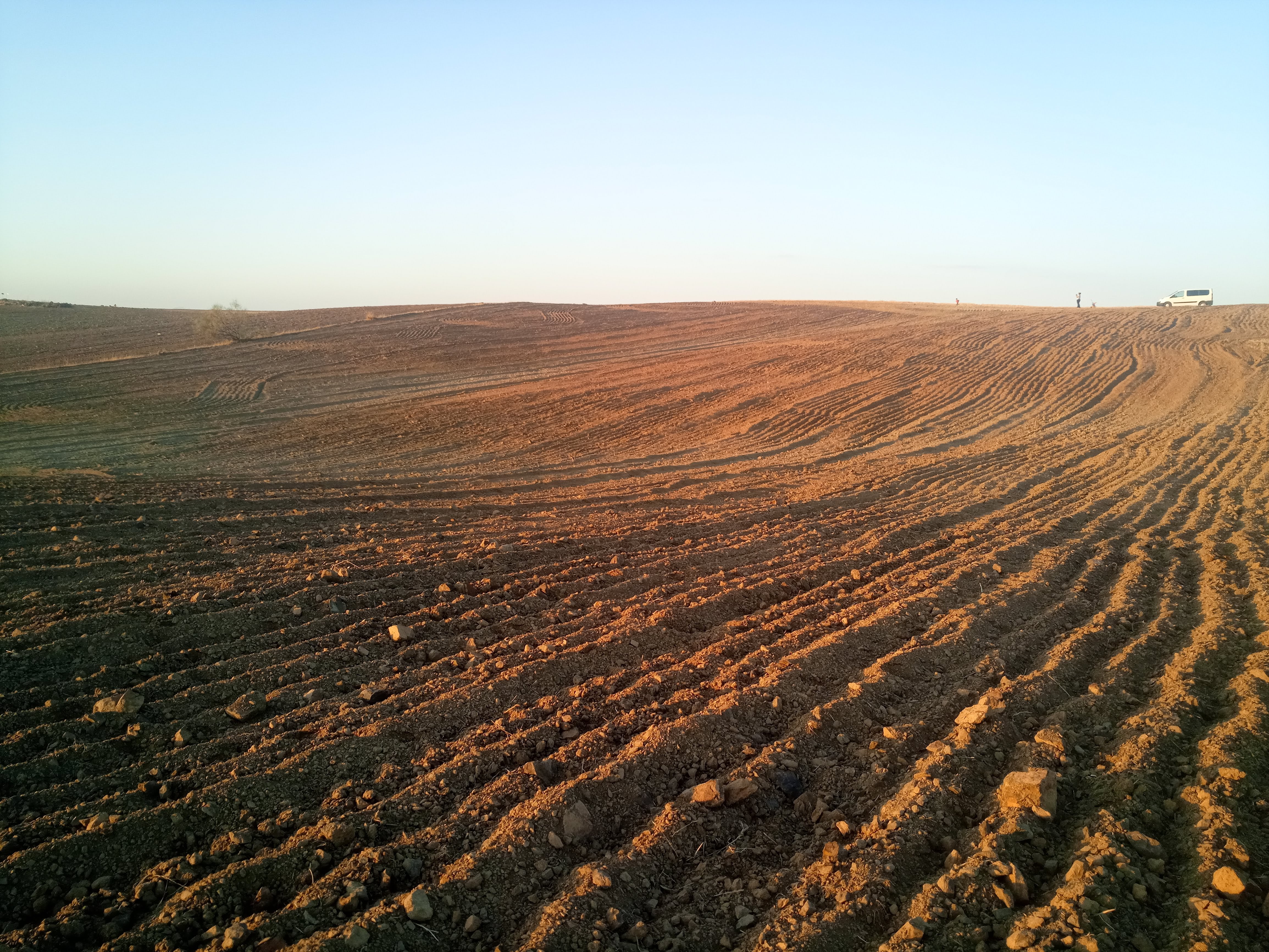 Campo Llerena