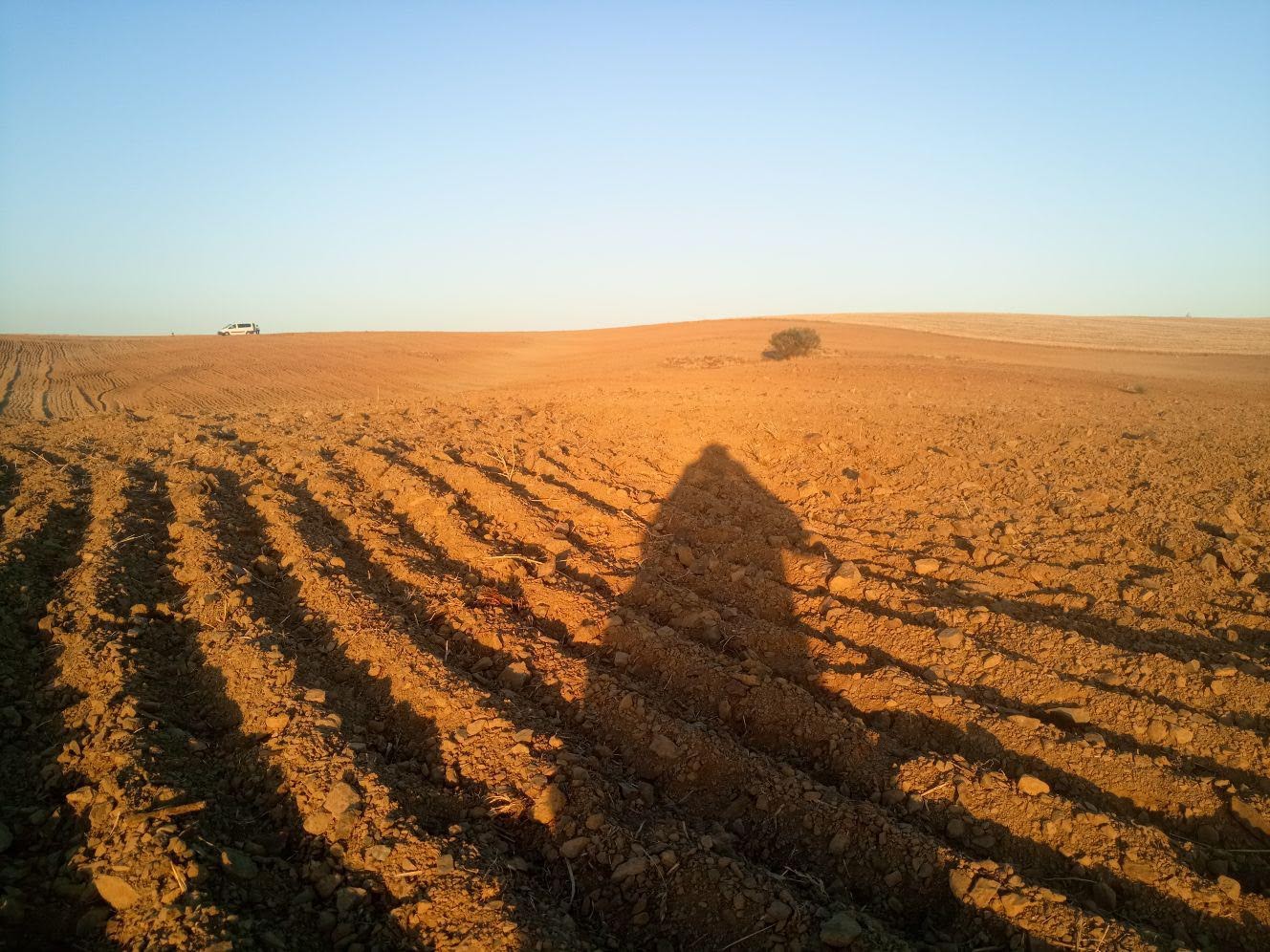 Foto 2 de Campo Llerena