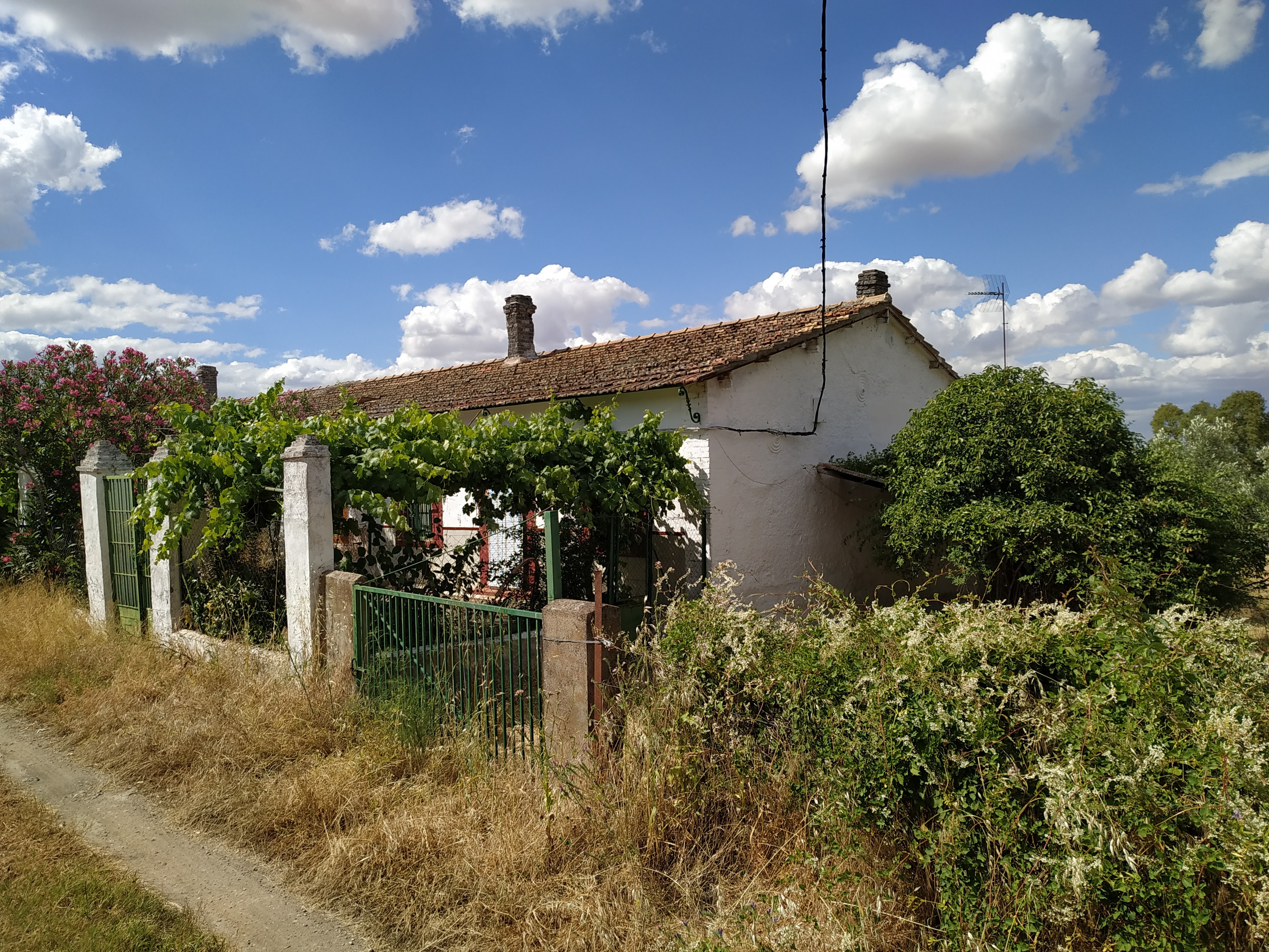 FINCA CON VIVIENDA EN FUENTE DEL ARCO