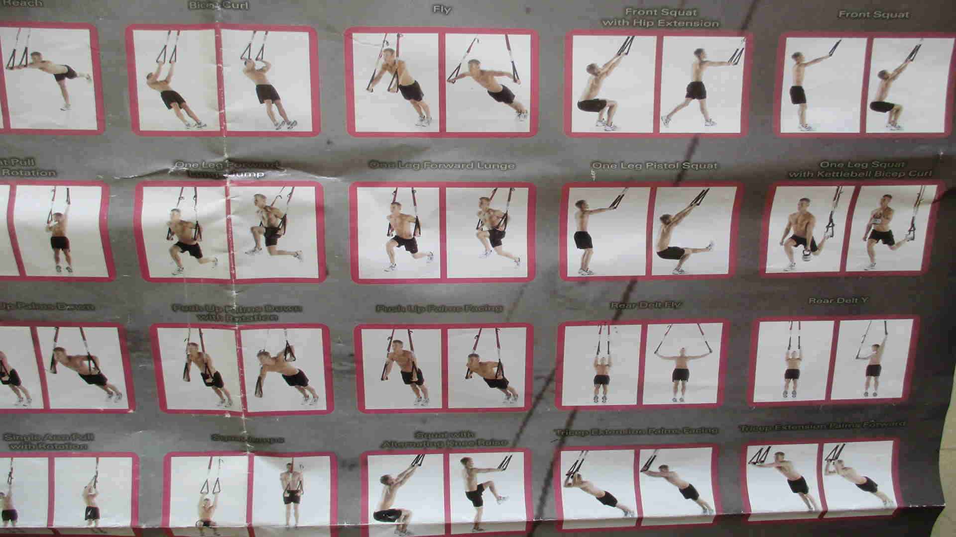 Foto 4 de TRX profesional entrenamiento en suspensión con 12 DVD