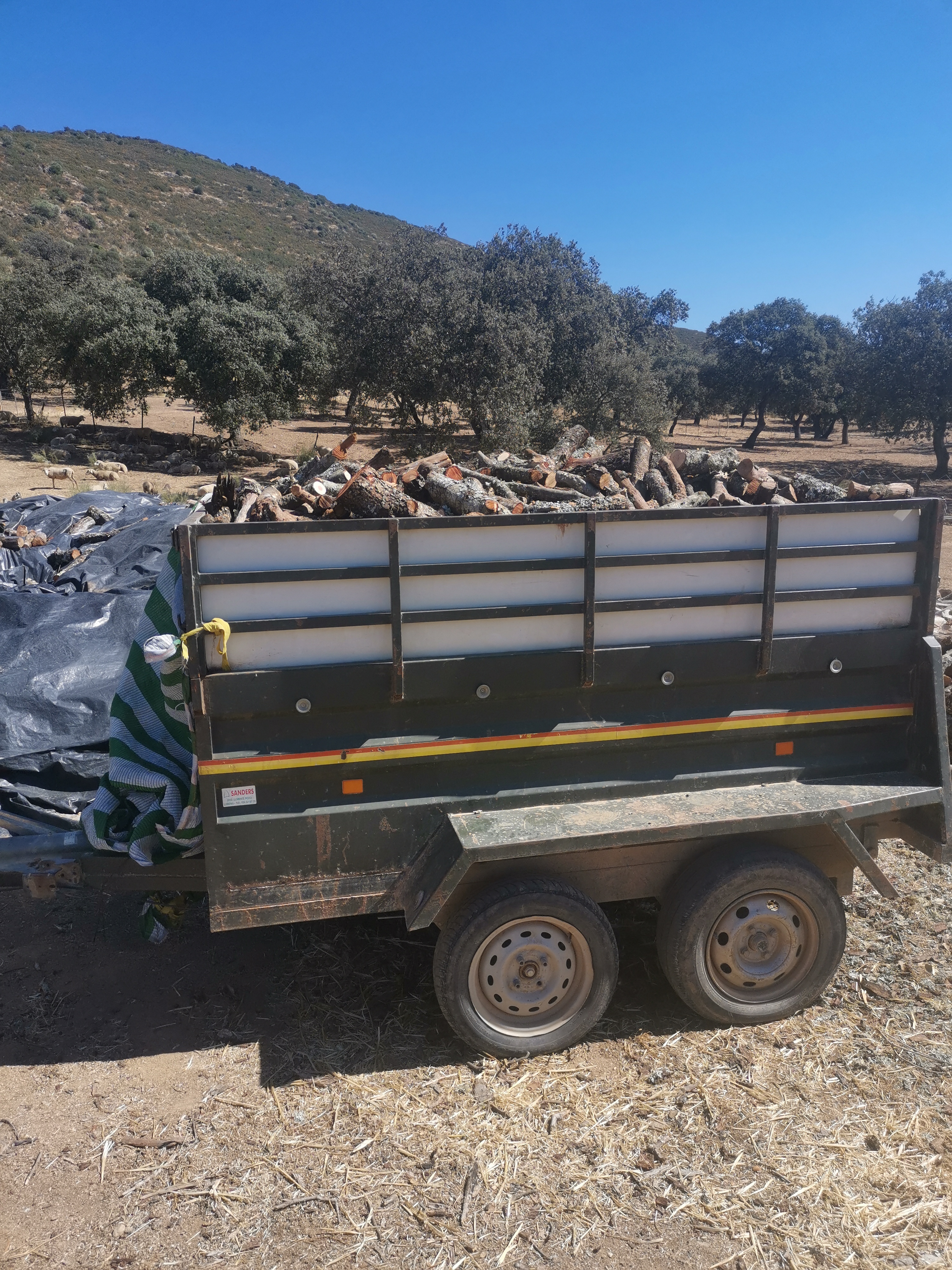 Venta de leña