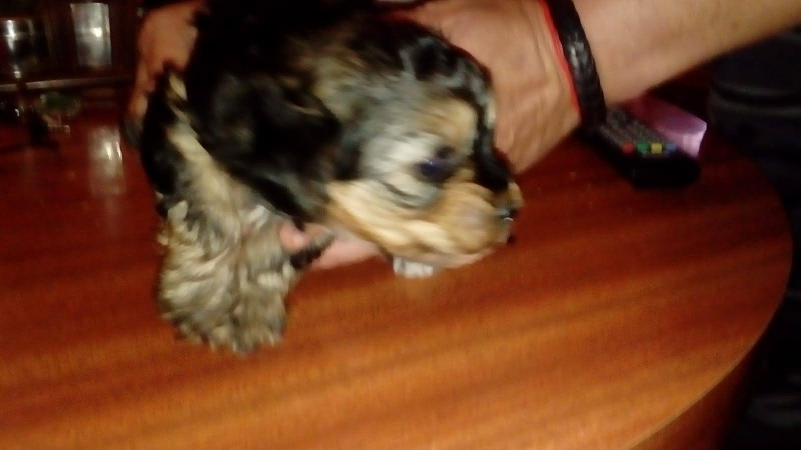 Foto 3 de Regalo