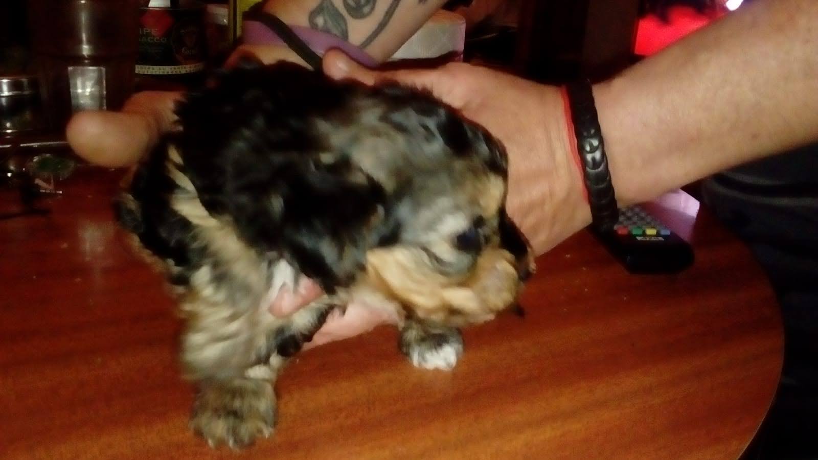 Foto 4 de Regalo