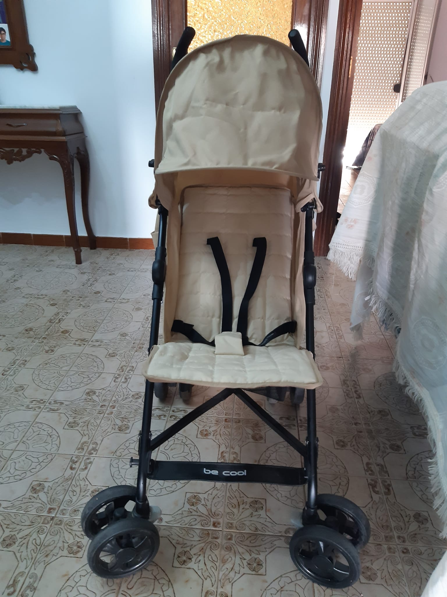 SE VENDE CARRICOCHE