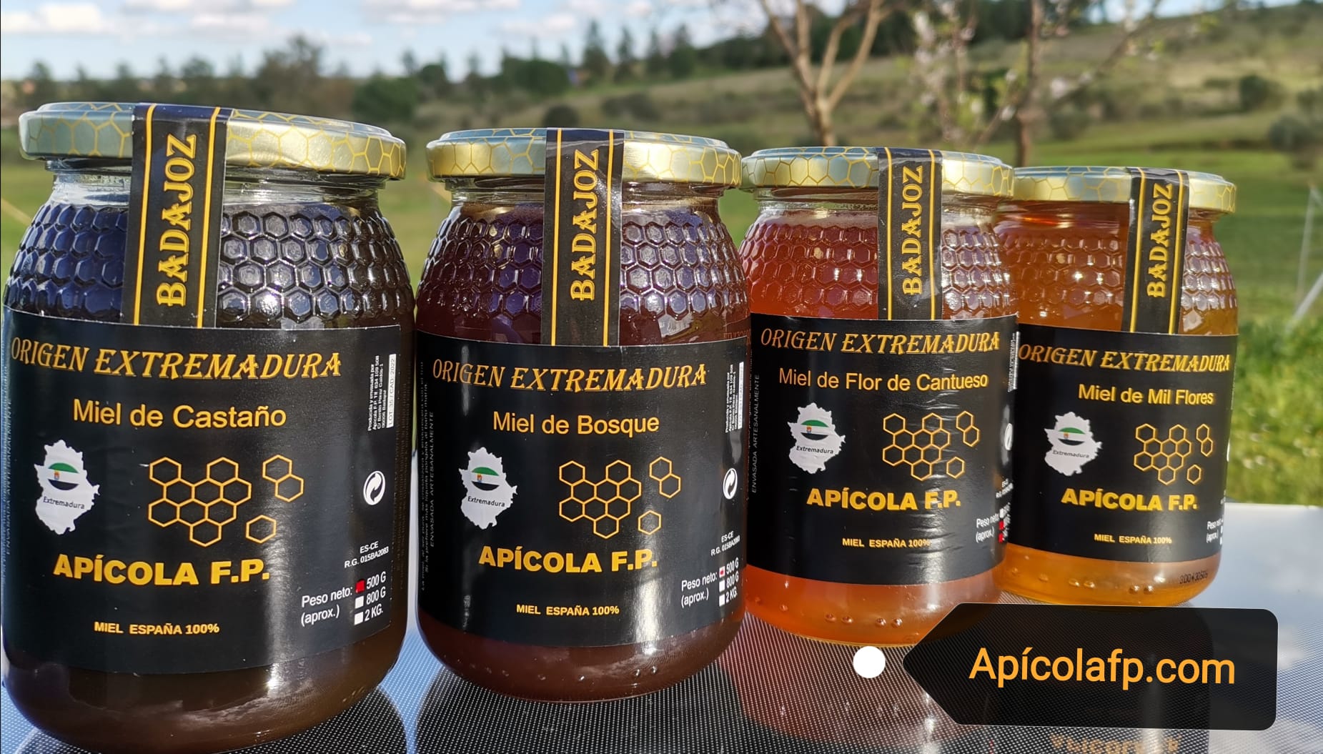 Venta de miel directamente del Apicultor