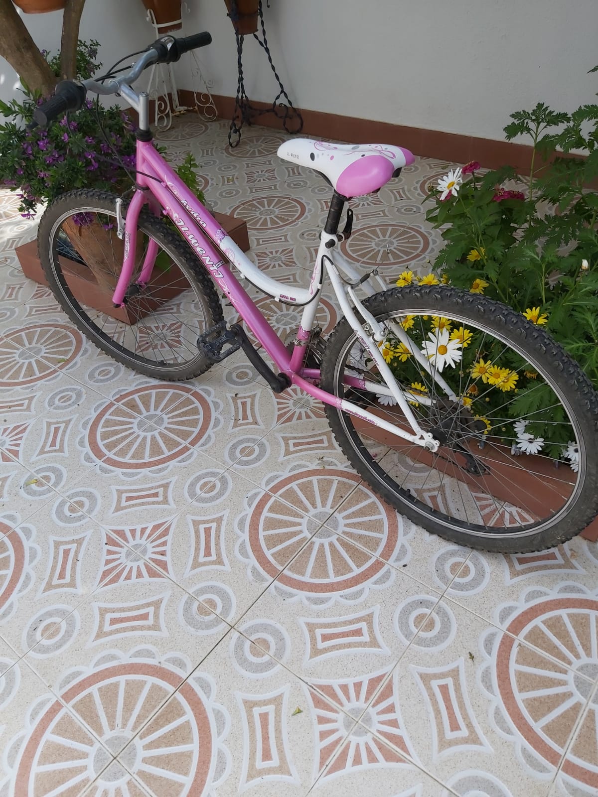 Vendo Bicicletas
