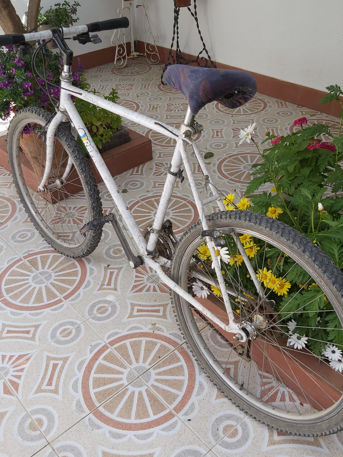 Foto 2 de Vendo Bicicletas