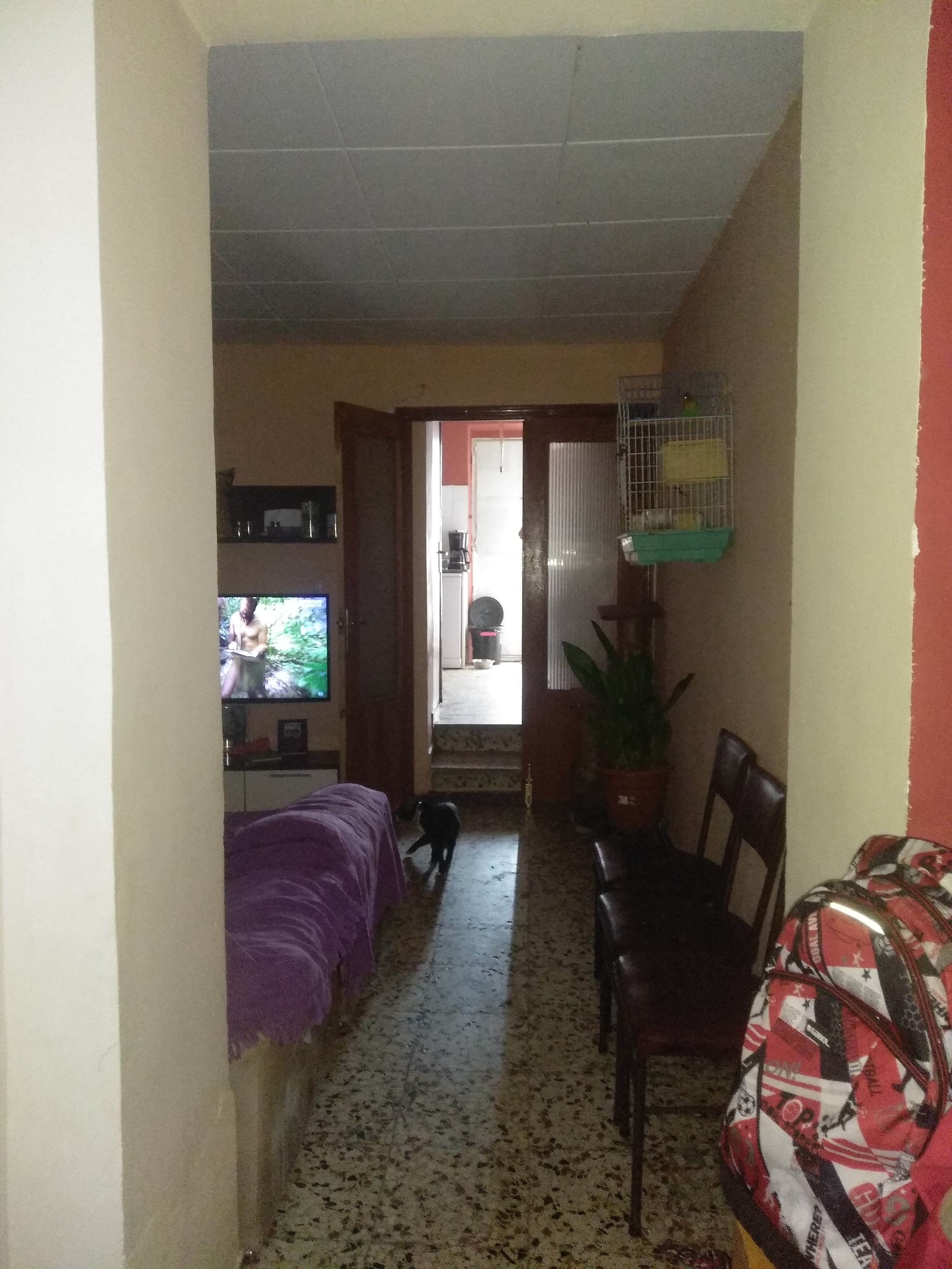 Vendo 
