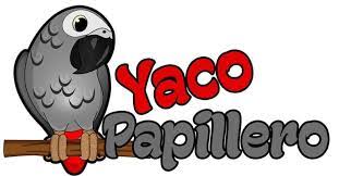 Busco Loro Yaco Papillero