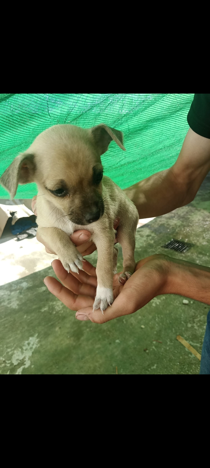 Se vende 