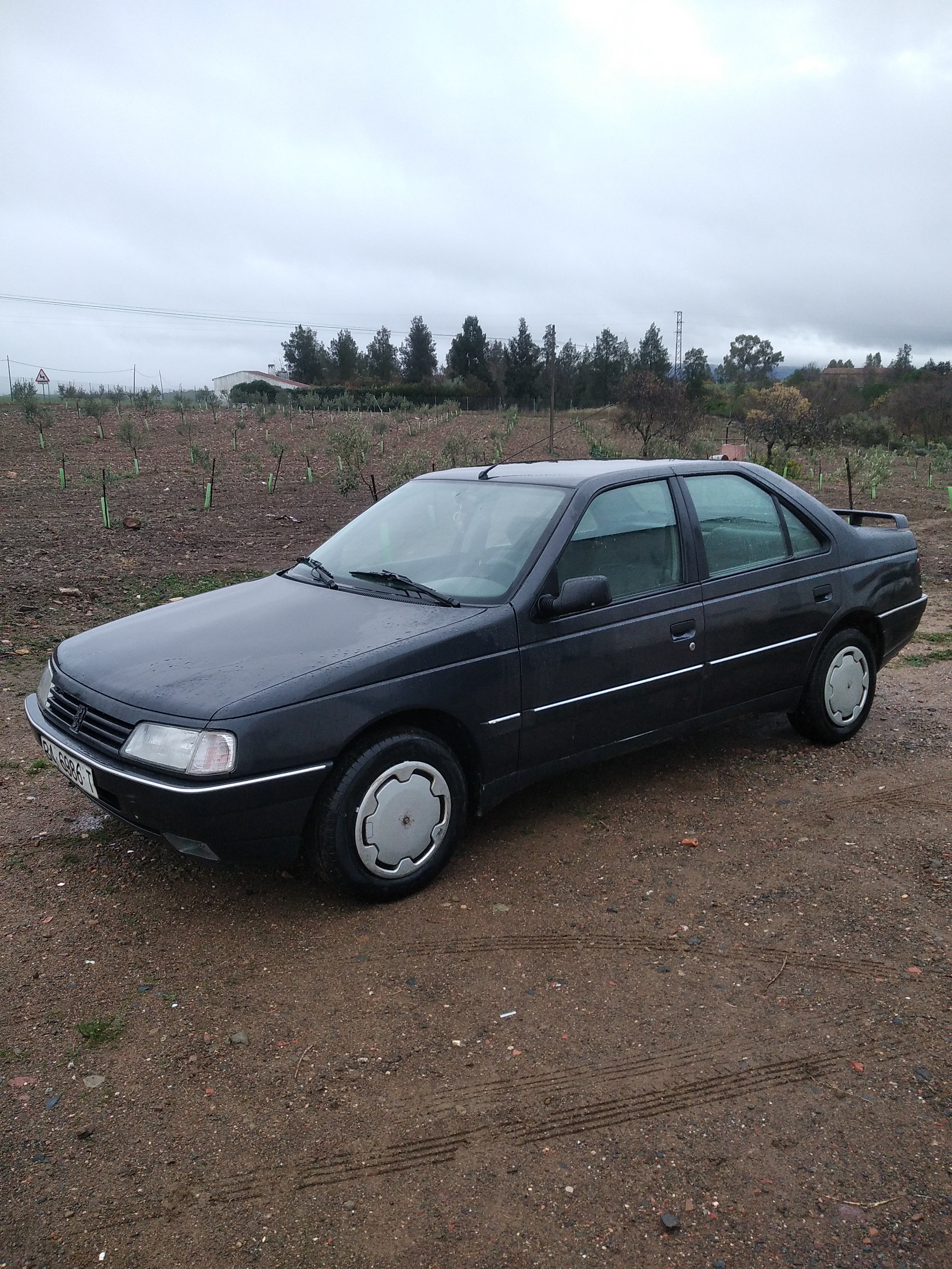 VENDO PEUGEOT 406 GRDT