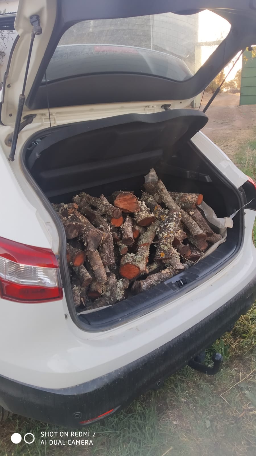 SE VENDE LEÑA DE ENCINA (25€)