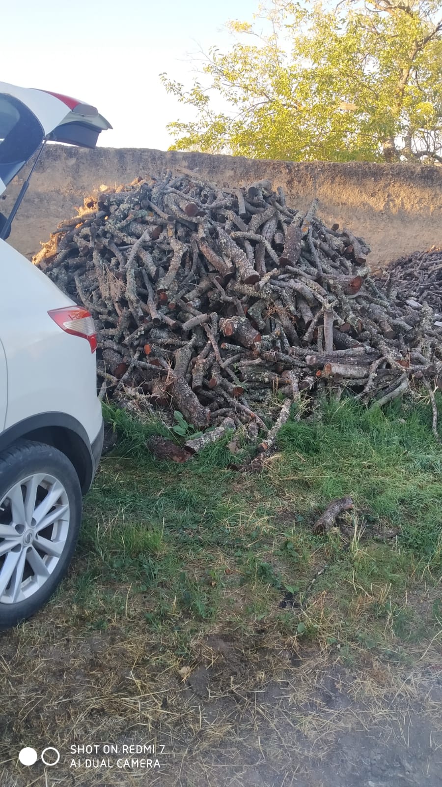 Foto 2 de SE VENDE LEÑA DE ENCINA (25€)