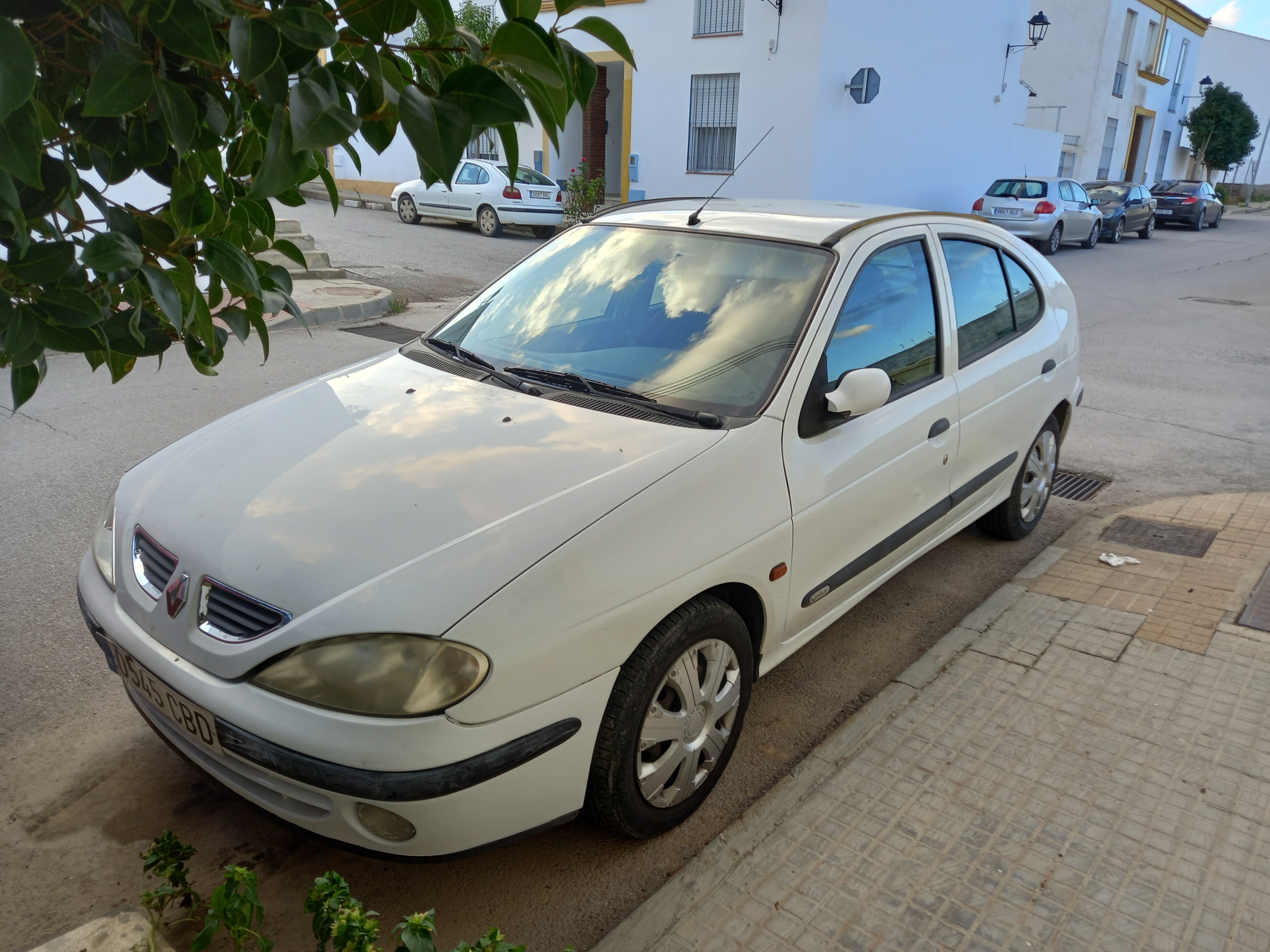 Foto 2 de Renault Megane