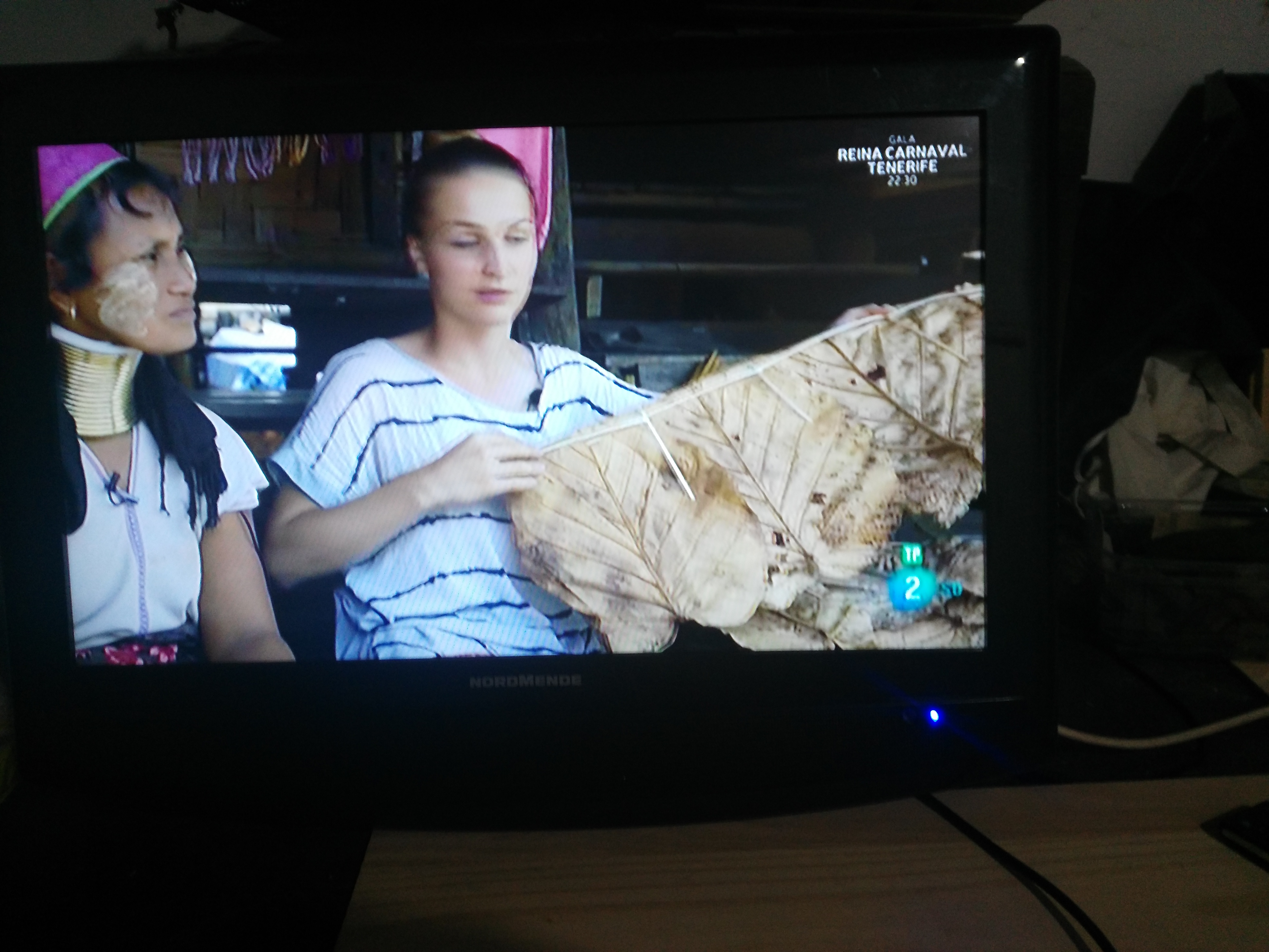 TELEVISION