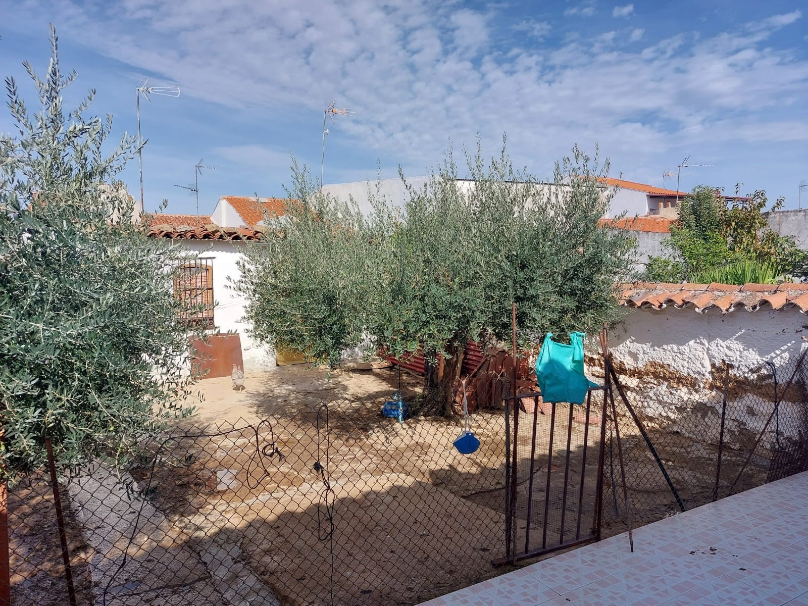 Foto 4 de SE VENDE CASA AMPLIA EN GRANJA DE TORREHERMOSA, CALLE SAN ISIDRO 46