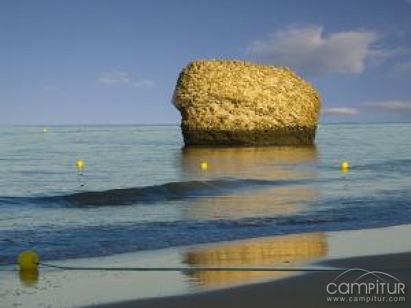 Viaje a la playa organizado por Dinamización Comunitaria de Constantina 