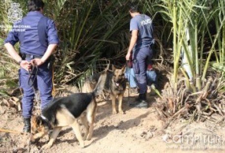 Buscan a un hombre desaparecido en Cazalla de la Sierra 