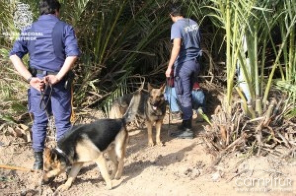 Buscan a un hombre desaparecido en Cazalla de la Sierra 