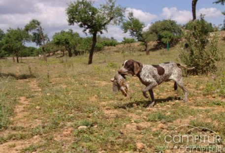 Veterinarios de SES incautan el 5% de las piezas de caza cobradas en la campaña 2009/2010 