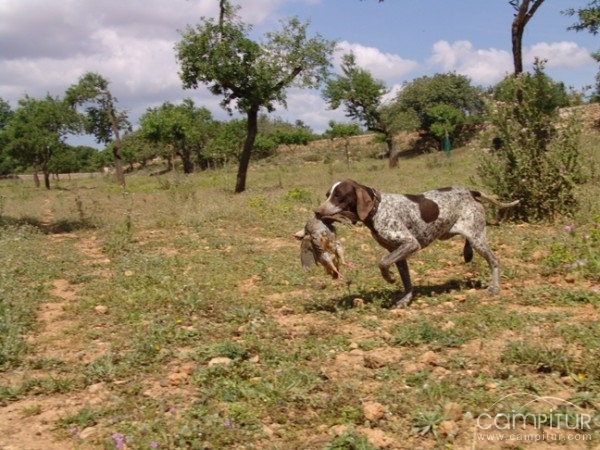 Veterinarios de SES incautan el 5% de las piezas de caza cobradas en la campaña 2009/2010 